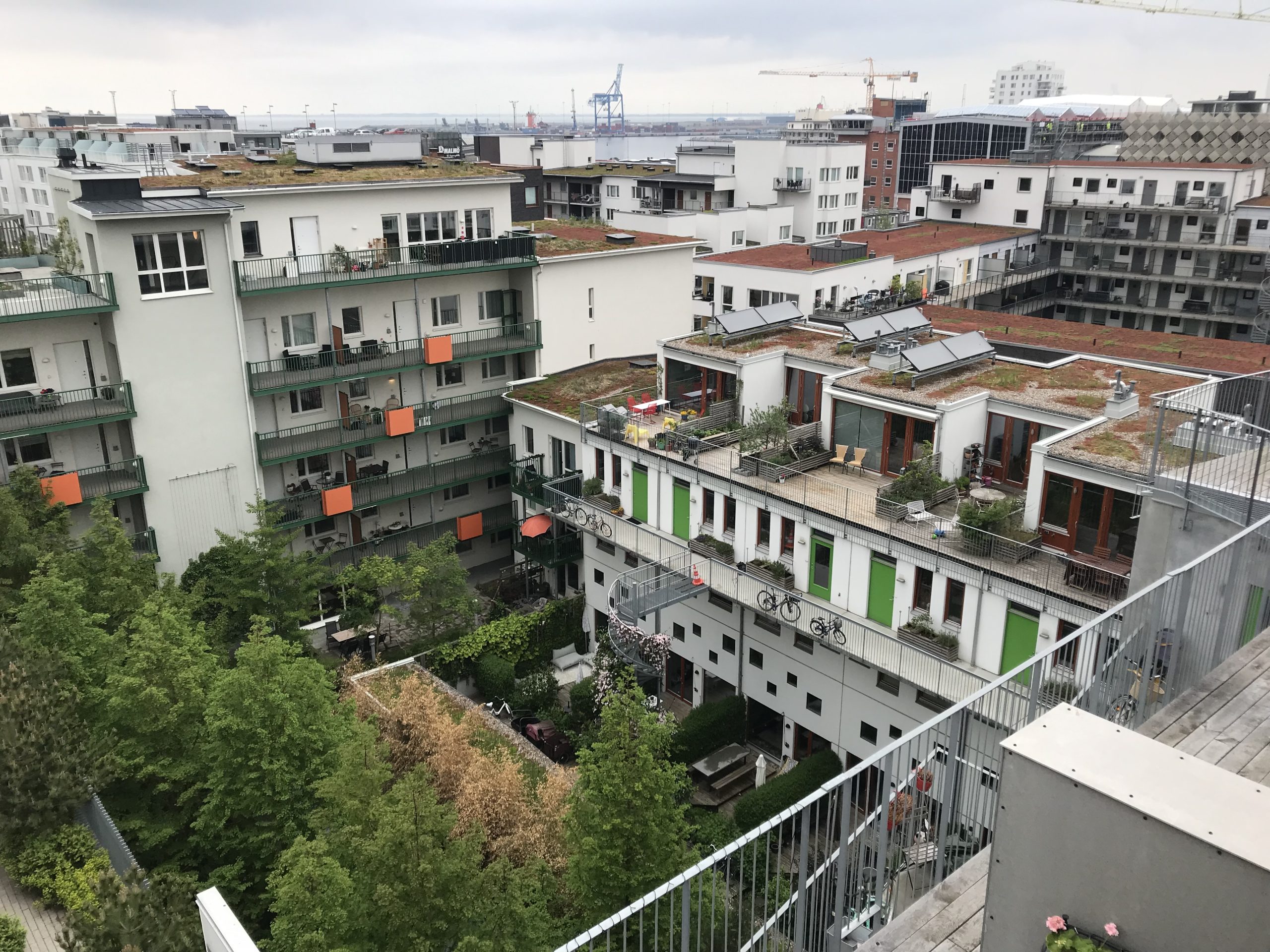 Urban Greening Factor Gains Momentum