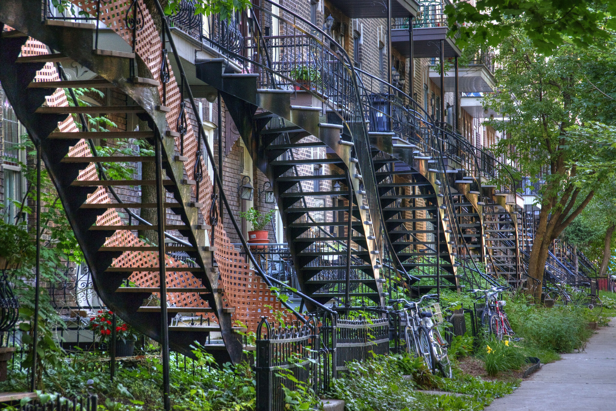 A Balcony Greenhouse: Food and Wellbeing in the City