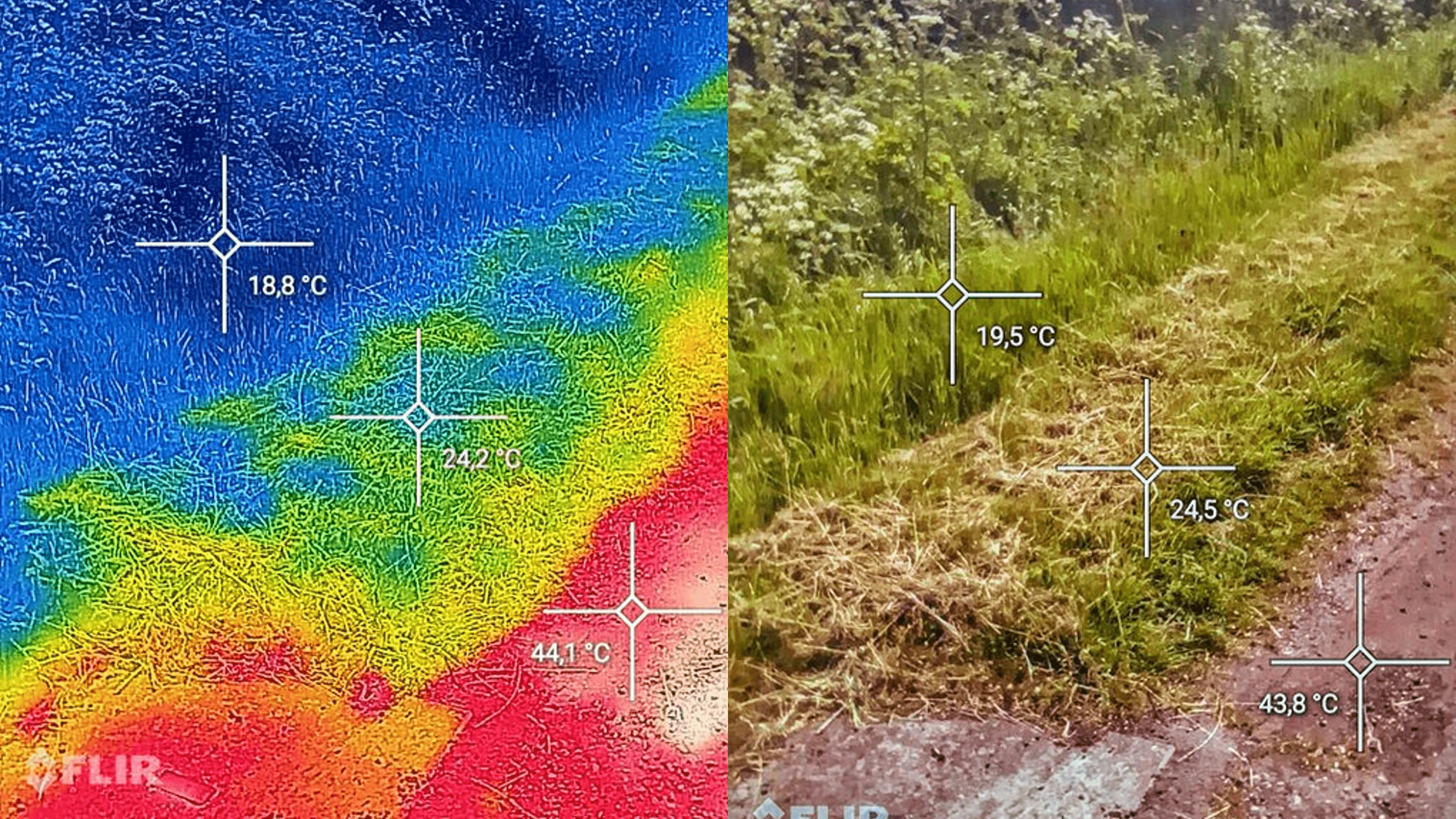 The Tale of Lawns: The Story of Class, Deserts, and Potential
