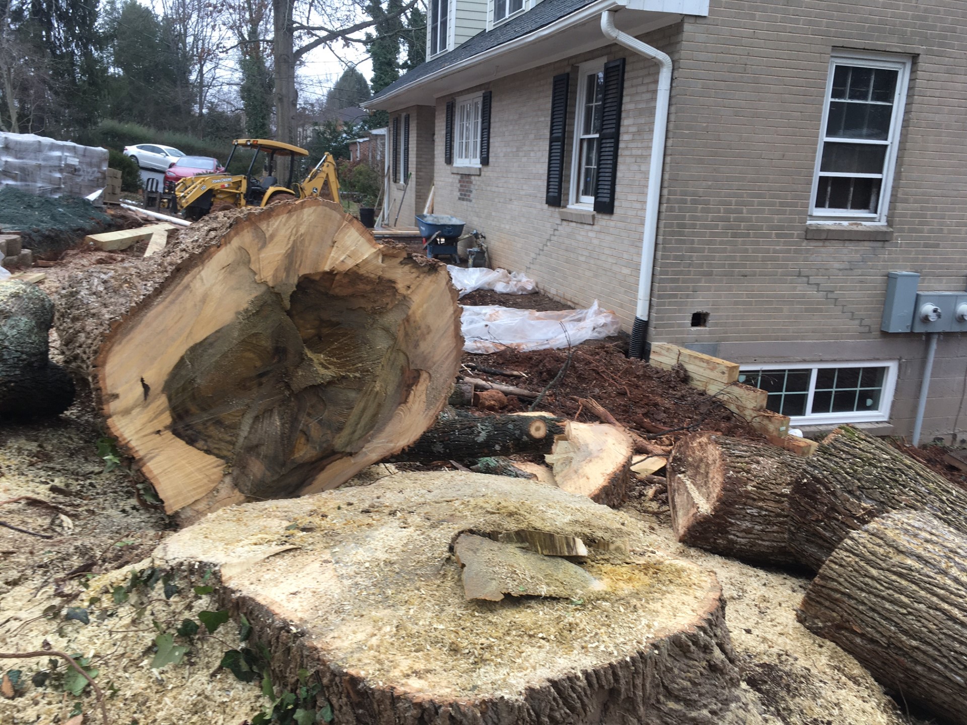 A New Tree Ethic: What If Trees Really Mattered?