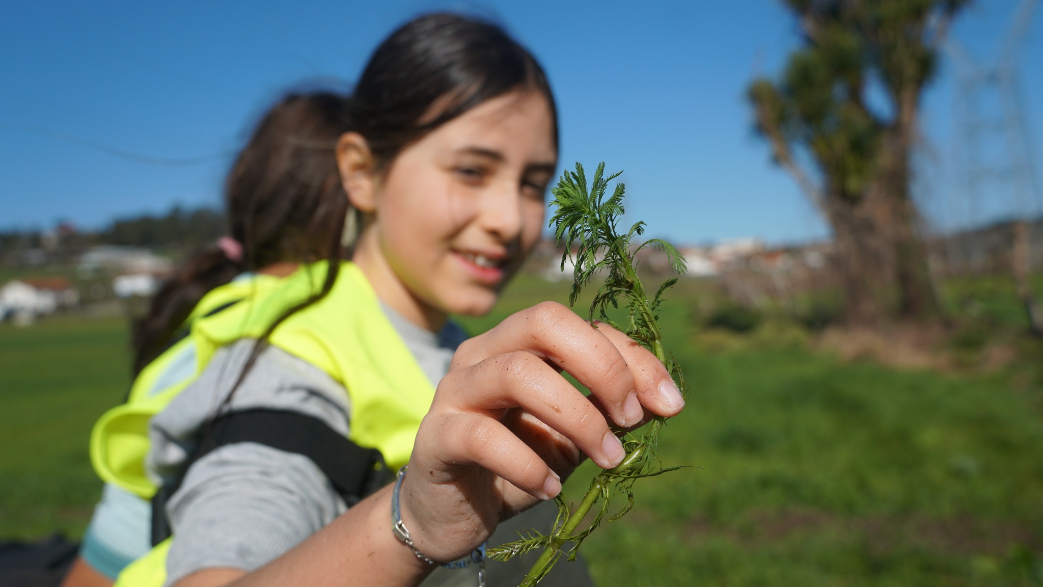 From Awareness to Action: Citizen Empowerment in Invasive Species Management