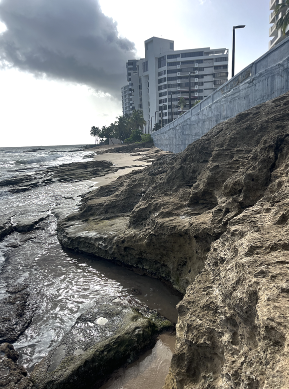 Steady Friction Between Nature-based and Engineered Solutions for Urban Coastal Flood Adaptation