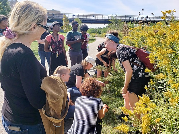 Plant-human Relations: How Can Art Foster Positive Perceptions of Weeds in Cities?
