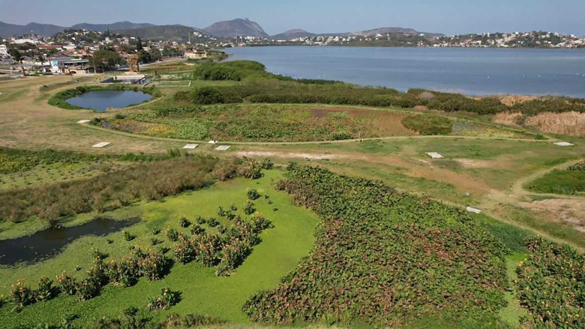 Nature-based Solutions Are Gaining Momentum in Brazilian Cities