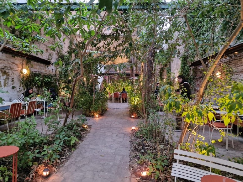 How Do Biophilic Design Approaches in Cafes and Restaurants in Buenos Aires Motivate Their Customers?