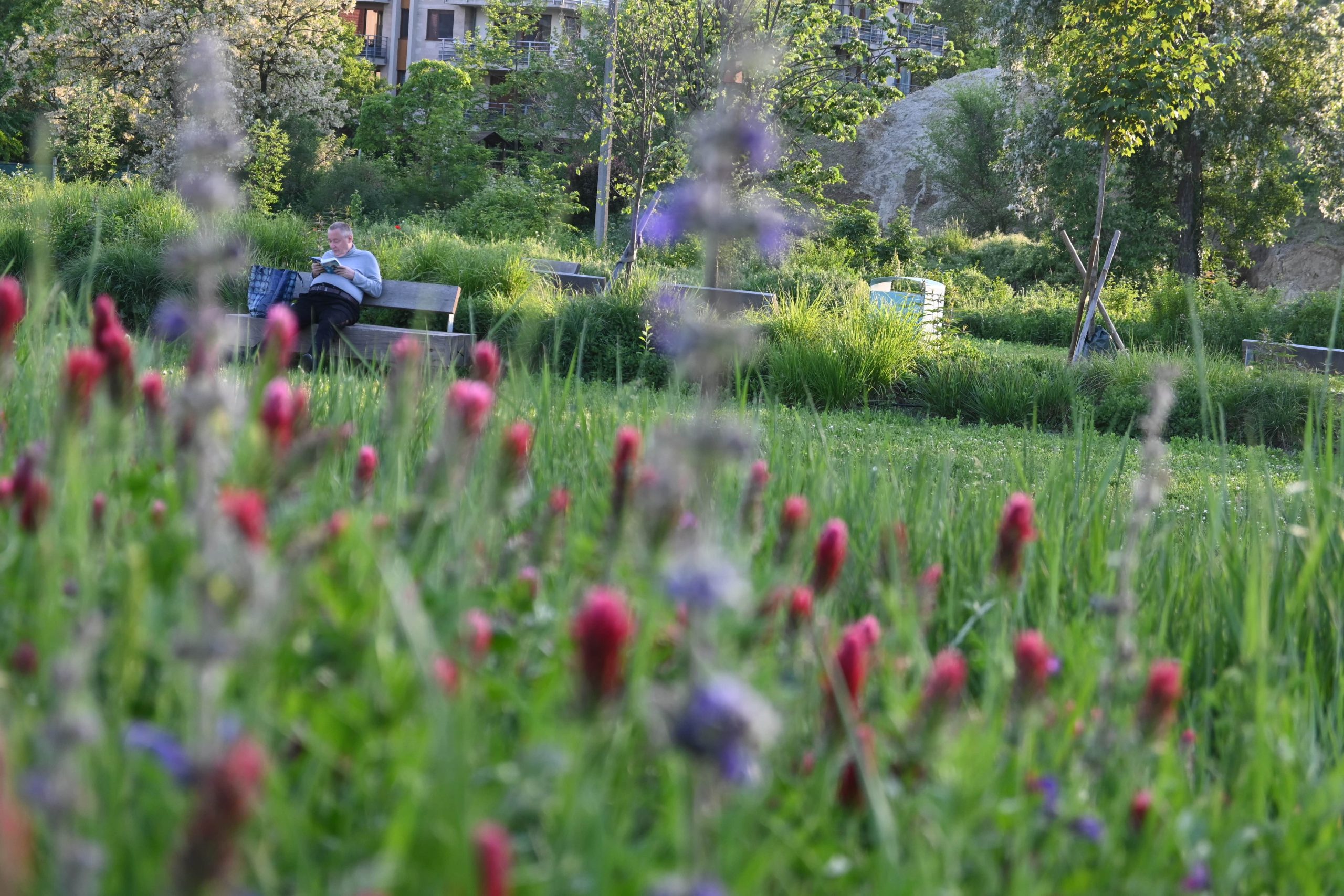 The EU Nature Restoration Law is here. Do we have what it takes to make it work?